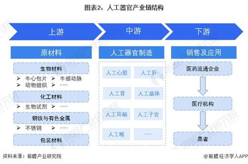 預(yù)見(jiàn)2024 中國(guó)人工器官行業(yè)全景圖譜——市場(chǎng)現(xiàn)狀、競(jìng)爭(zhēng)格局與發(fā)展趨勢(shì)解析